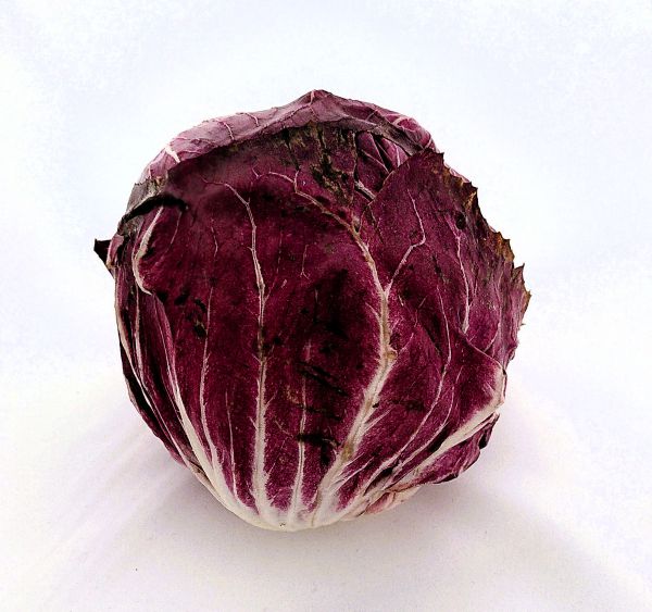 Radicchio