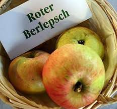 Roter Berlepsch