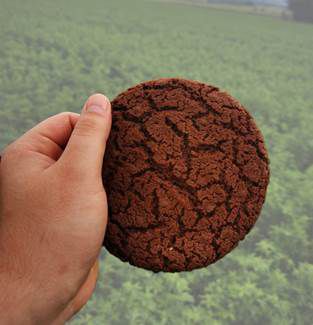 BIO Double Chocolatechip Cookies