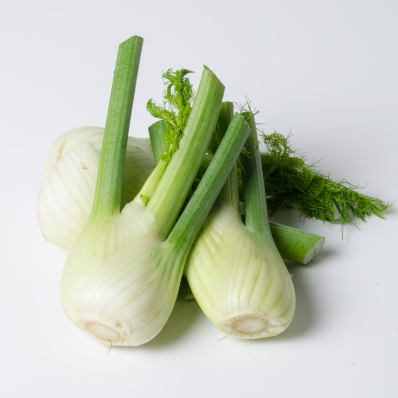 Bio Fenchel