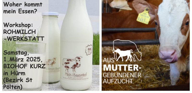 Workshop-Milch-f-Startseite