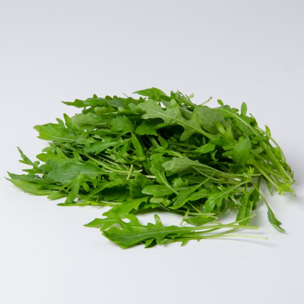 Bio Rucola (Tasse)