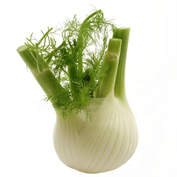 Fenchel (7,85 €/kg)