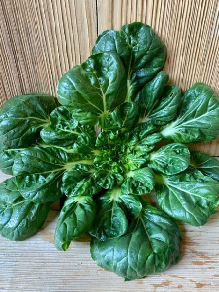 Tatsoi (18,75 €/kg)