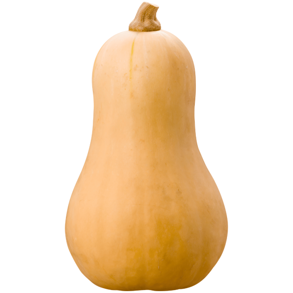 Butternut (4,00 €/kg)