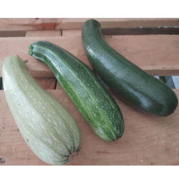 Zucchini grün (3,80 €/kg)