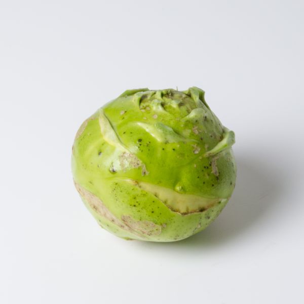 Kohlrabi Superschmelz