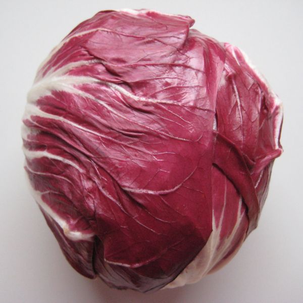 Radicchio