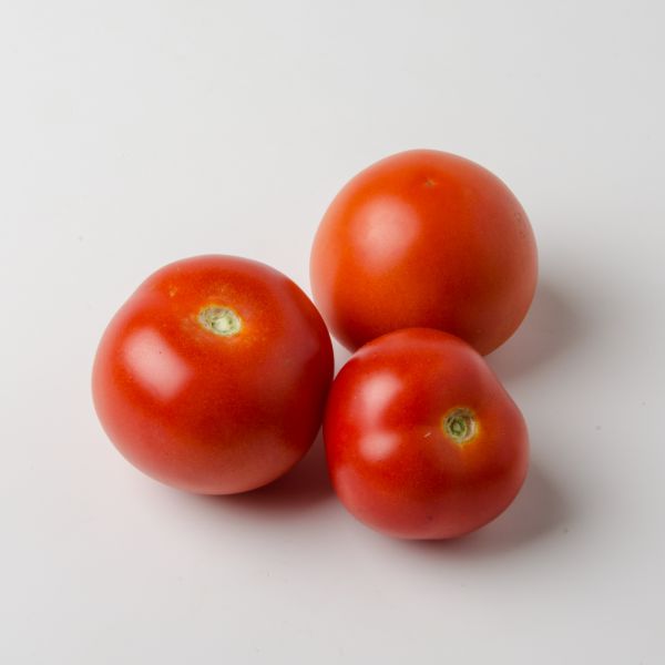 Tomaten