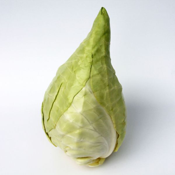 Spitzkohl (Kraut) ca.1 kg