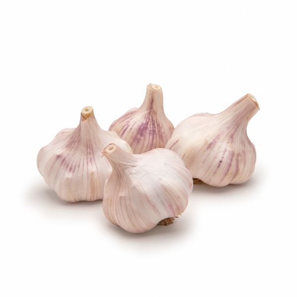 Knoblauch