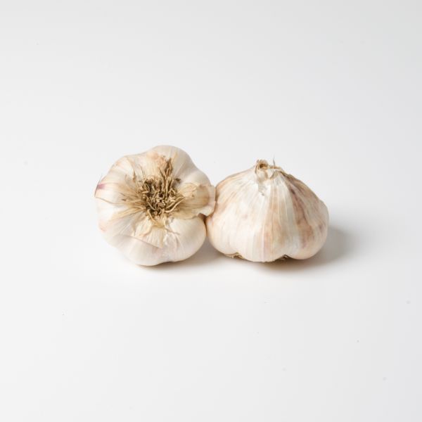 Knoblauch