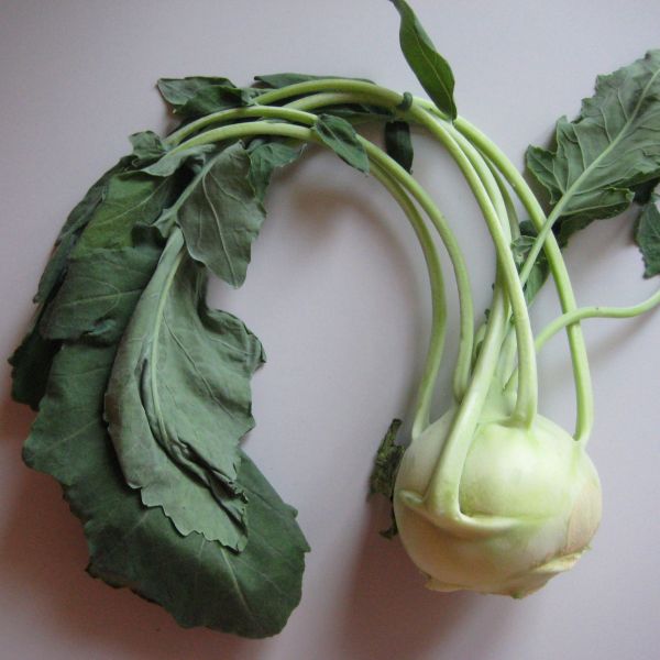 Kohlrabi