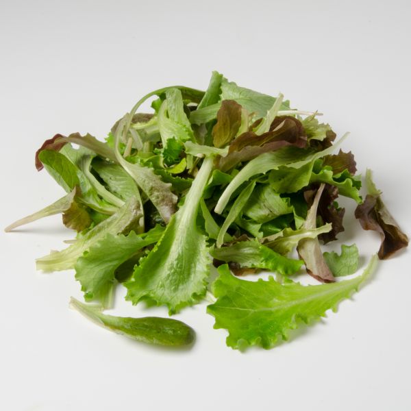 Babyleaves Salat