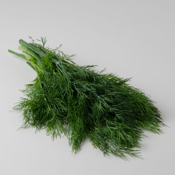 Dill